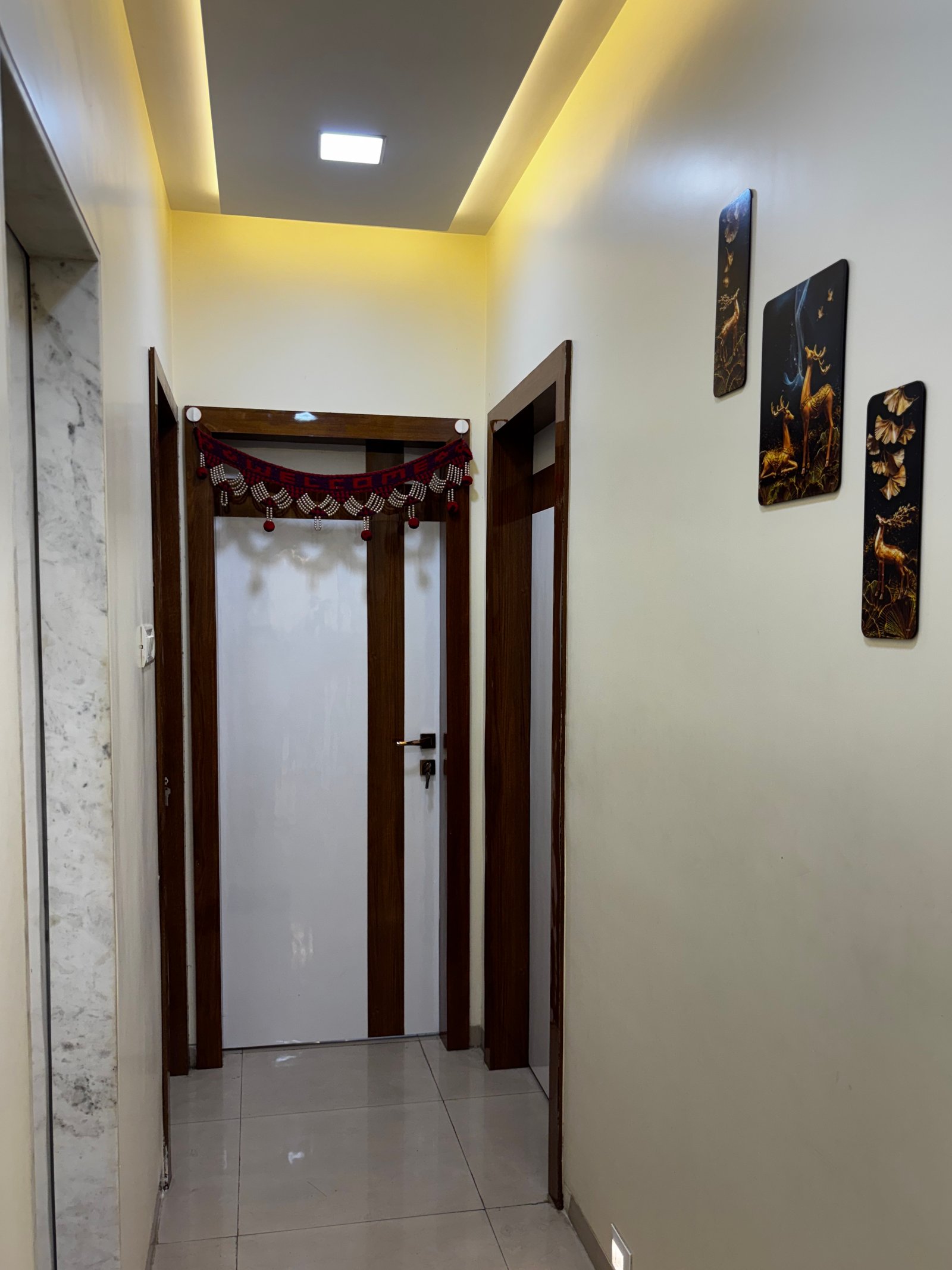 Home passage with decorative wall art and finished doorways